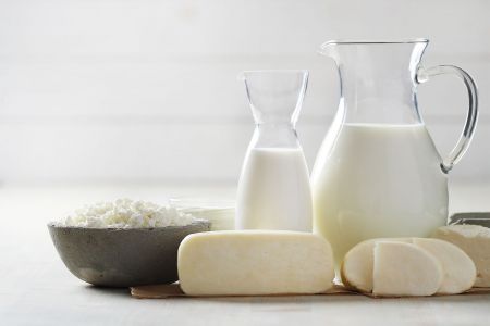 Lácteos y sus Derivados